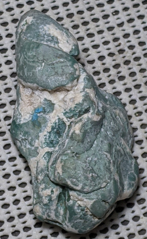 Green Petrified Wood from Oregon. 9.8 cm #130