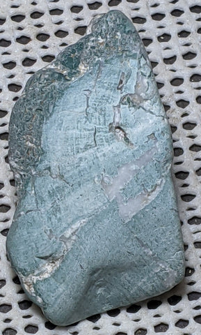 Green Petrified Wood from Oregon. 6.5 cm #131
