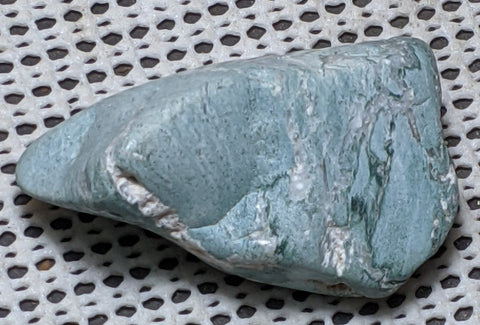 Green Petrified Wood from Oregon. 6.5 cm #131