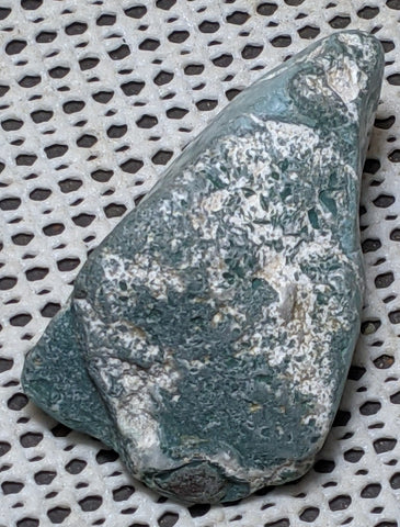 Green Petrified Wood from Oregon. 6.5 cm #131