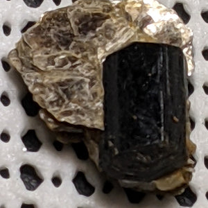 Thucholite Mica from Vitaniemi, Erajavi, Finland. 2.3 cm #429