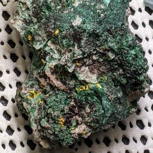 Torbernite, Kasolite, from Mexico. 5.5 cm #423