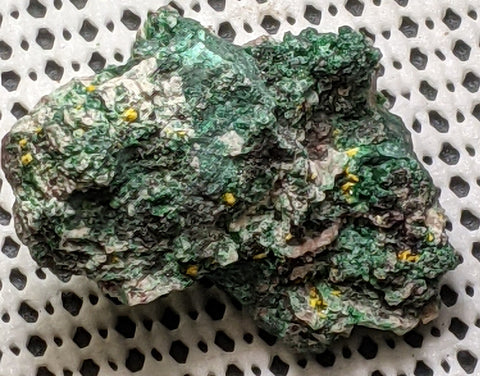 Torbernite, Kasolite, from Mexico. 5.5 cm #423
