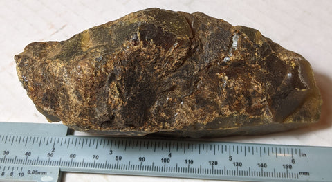 Dominican Blue Amber rough. 146 Grams.