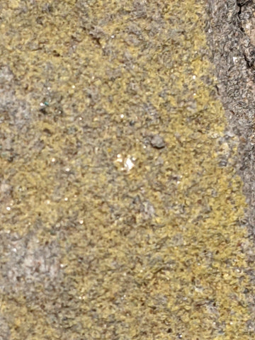 Phurcalite from Posey Mine, Utah 11.5 cm #1216
