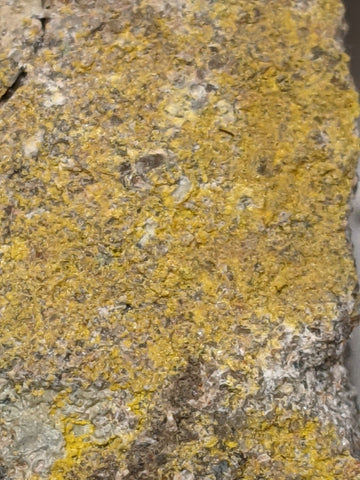 Phurcalite from Posey Mine, Utah 11.5 cm #1216