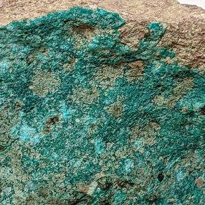 Dioptase, Christmas Mine, Gila County, Arizona. 11.8 cm #622