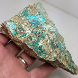 Dioptase, Christmas Mine, Gila County, Arizona. 12.9 cm #623