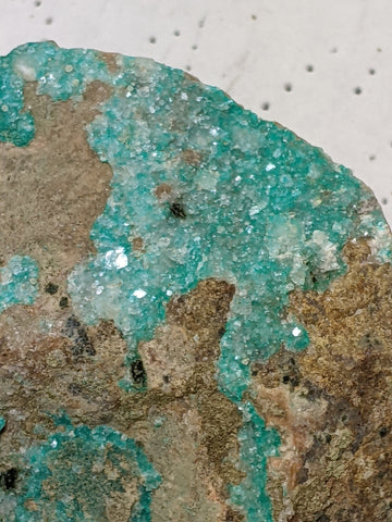 Dioptase, Christmas Mine, Gila County, Arizona. 11.6 cm #624
