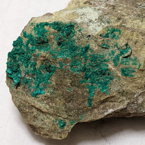 Dioptase, Christmas Mine, Gila County, Arizona. 5.7 cm #632