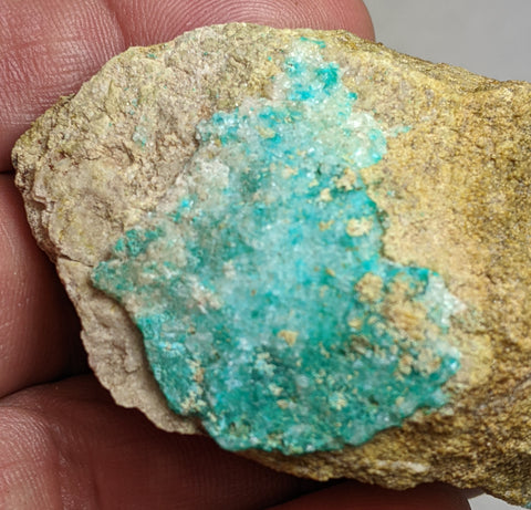 Dioptase, Christmas Mine, Gila County, Arizona. 5.4 cm #634